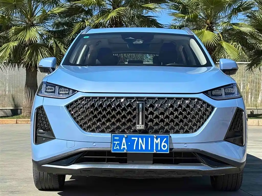 WEI PAI MACCHIATO DHT