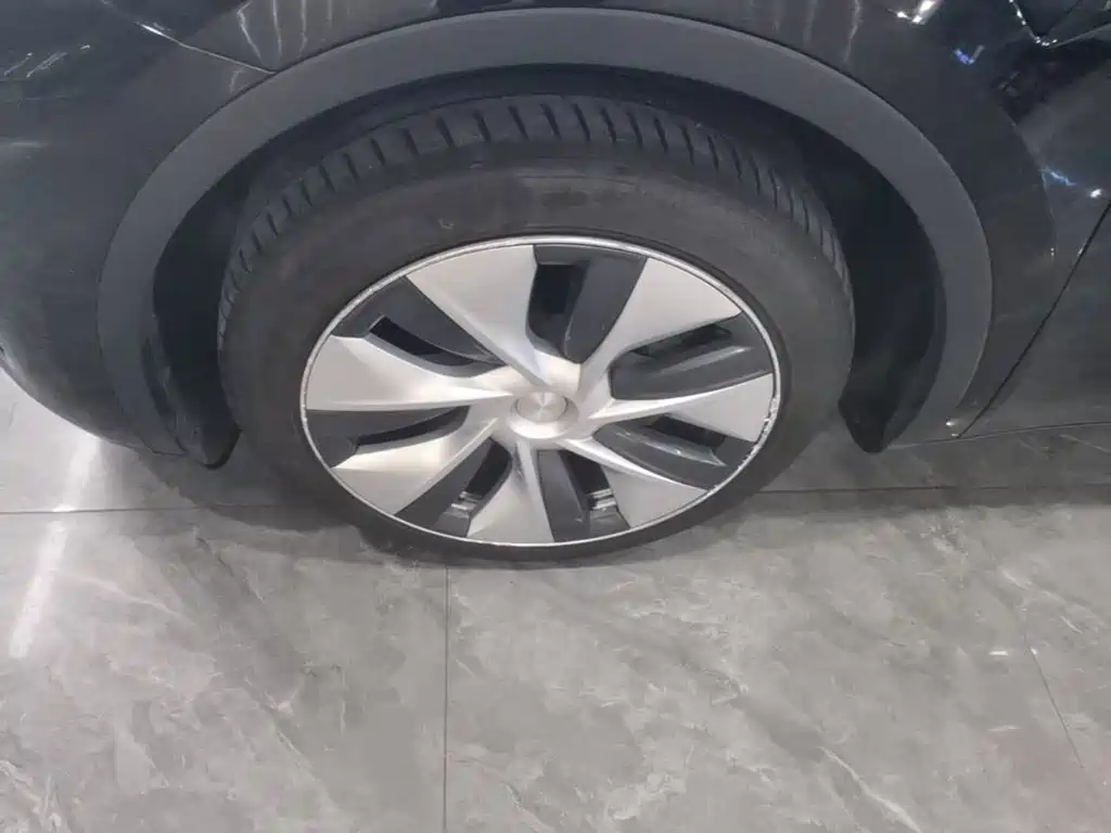 Tesla Model Y — миниатюра 23