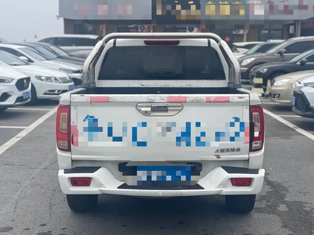 GREAT WALL FENGJUN 6