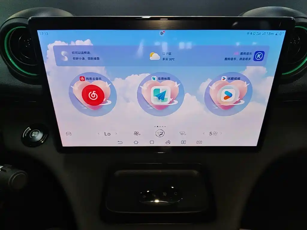 BYD Dolphin — миниатюра 13