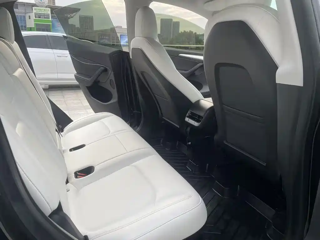 Tesla Model Y — миниатюра 5