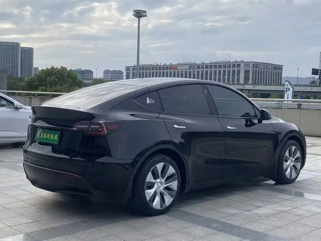 Tesla Model Y — миниатюра 13