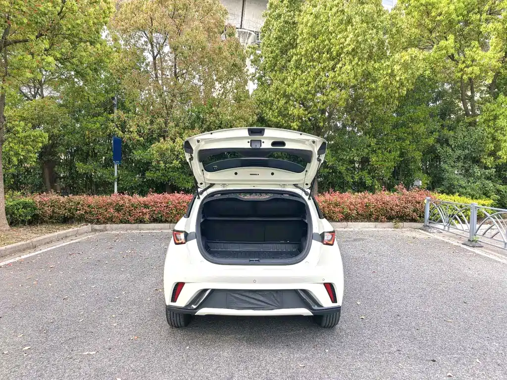 BYD Dolphin - фото 6