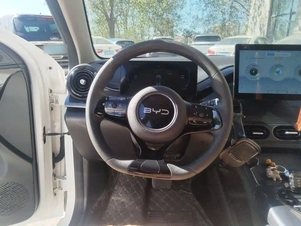 BYD e2 — миниатюра 12