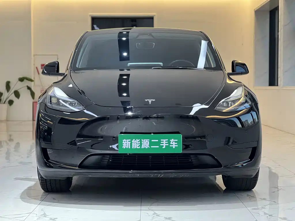 Tesla Model Y — миниатюра 2