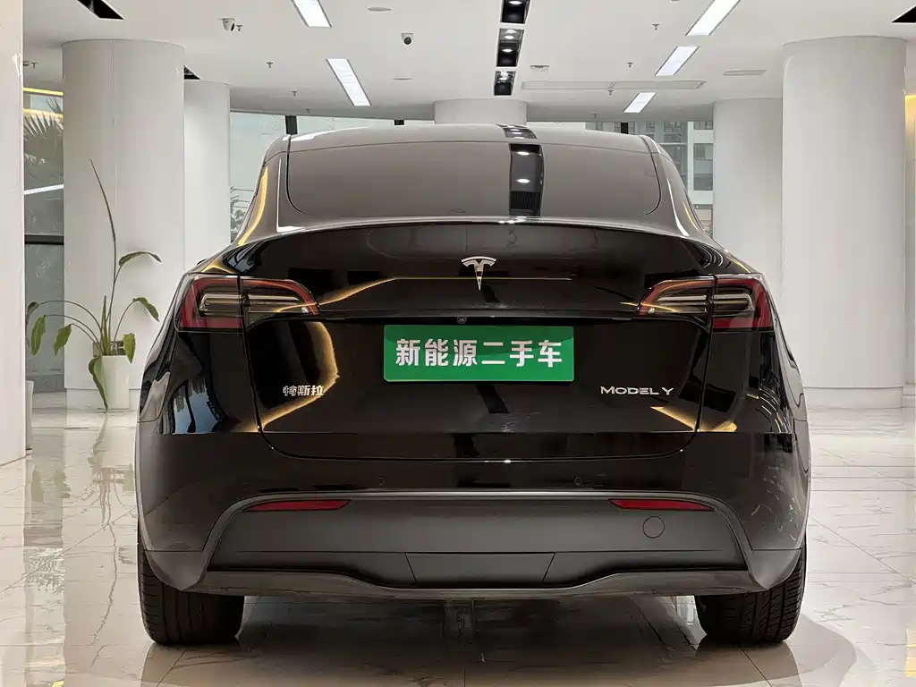 Tesla Model Y — миниатюра 9