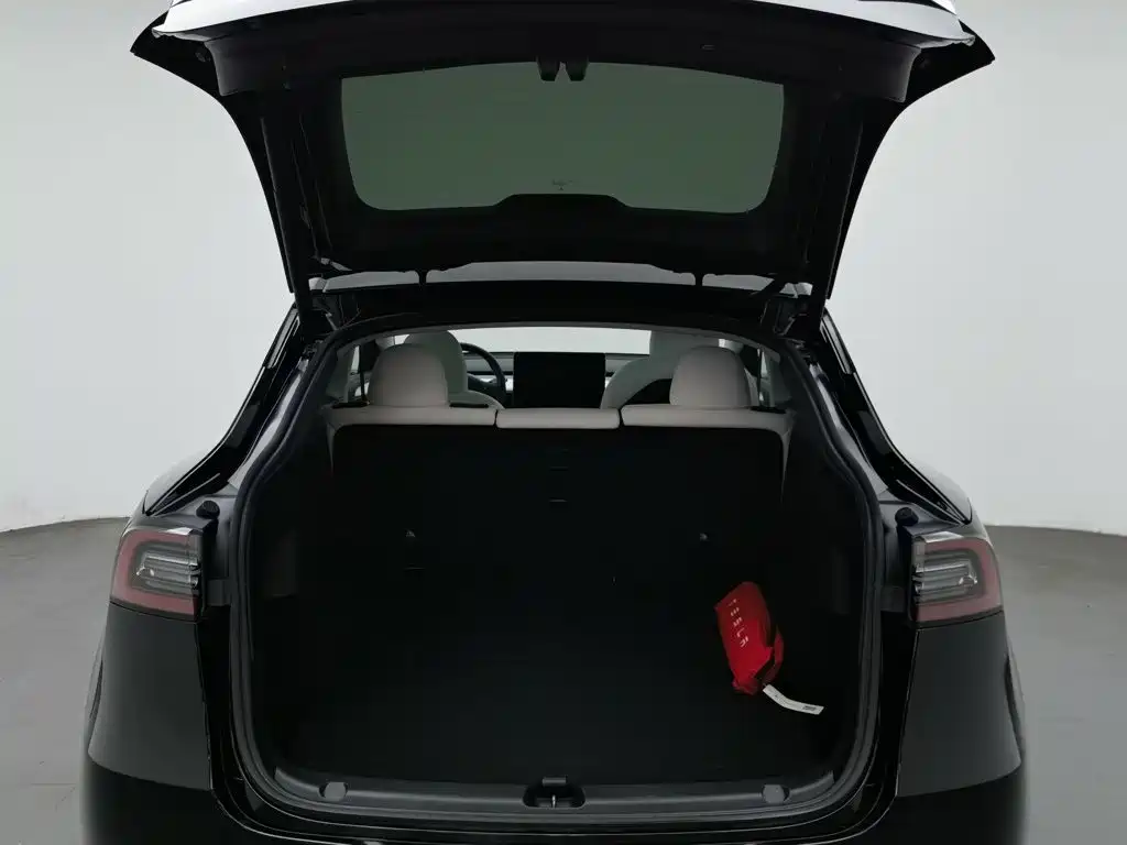 Tesla Model Y — миниатюра 16
