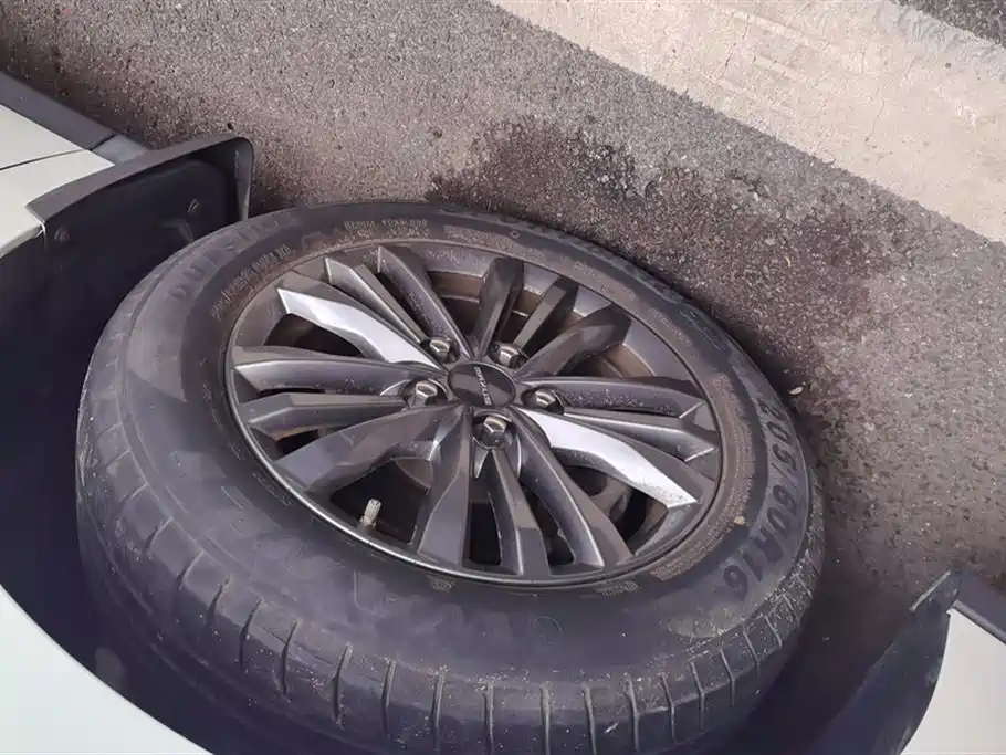 SAIC MAXUS CHASE G50