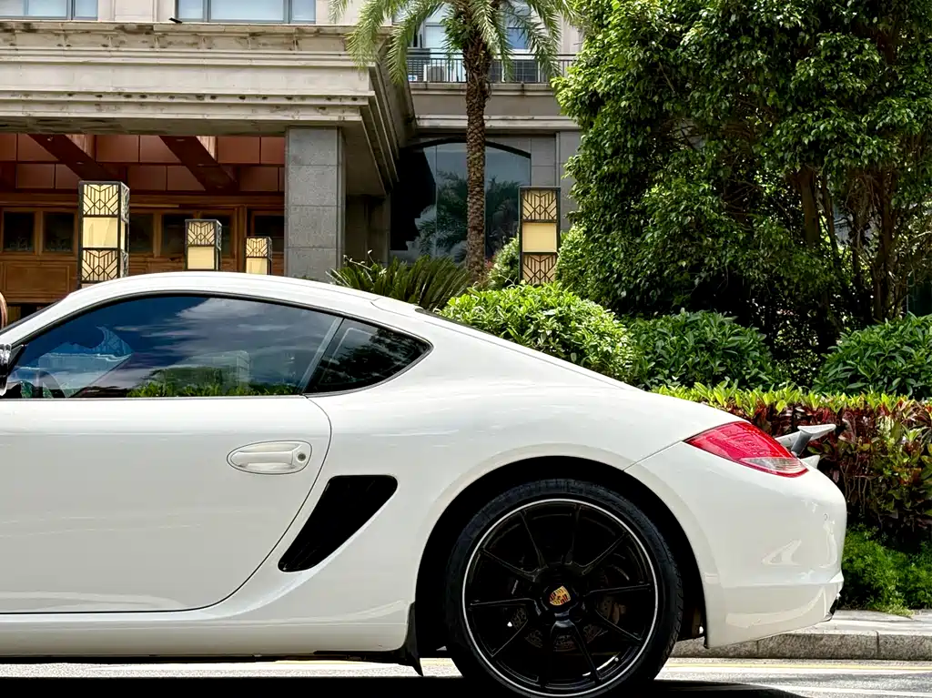 Porsche Cayman Cayman 2.9L, фото 18