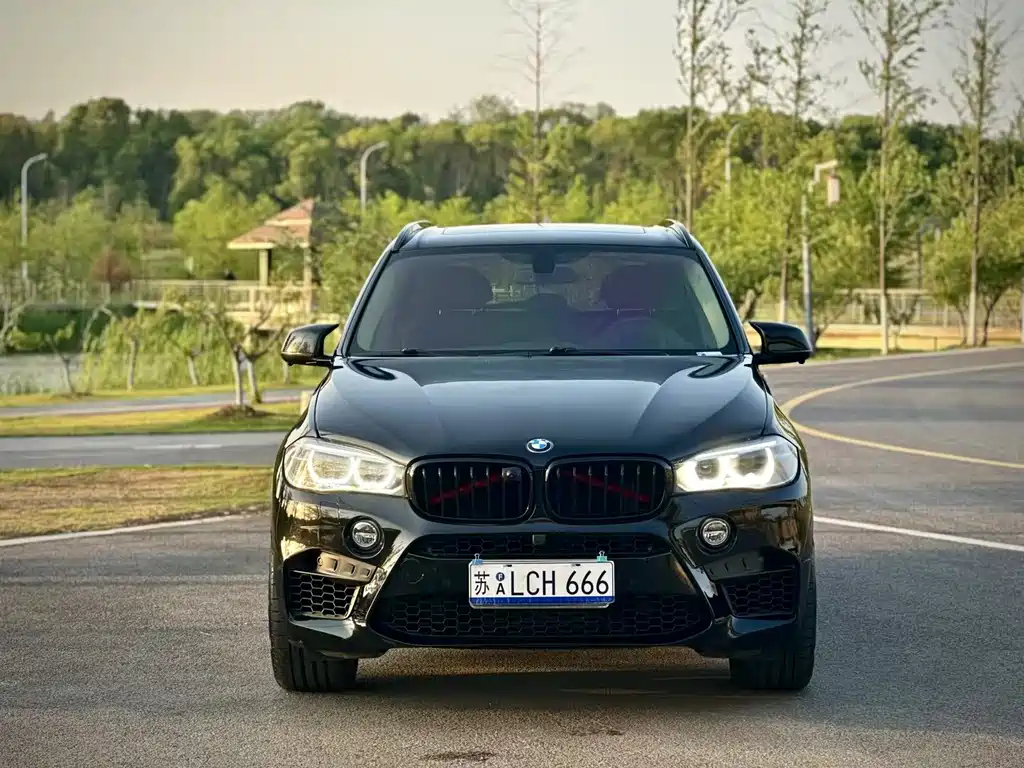 BMW X5 2014 xDrive35i Luxury