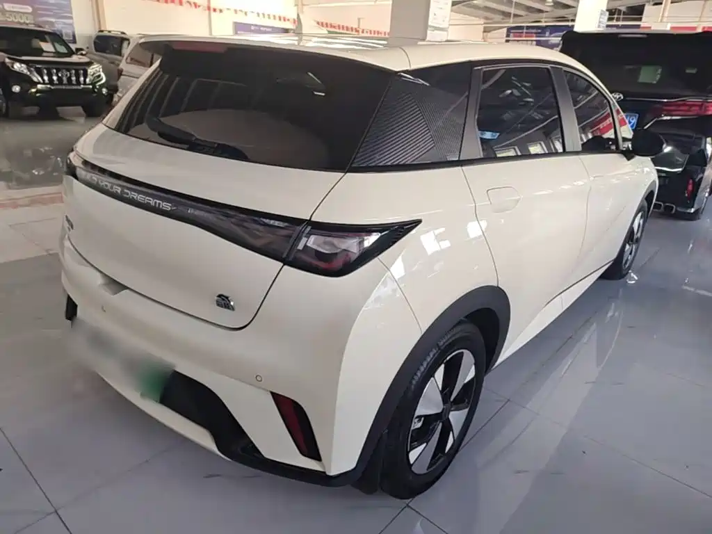 BYD Dolphin — миниатюра 7