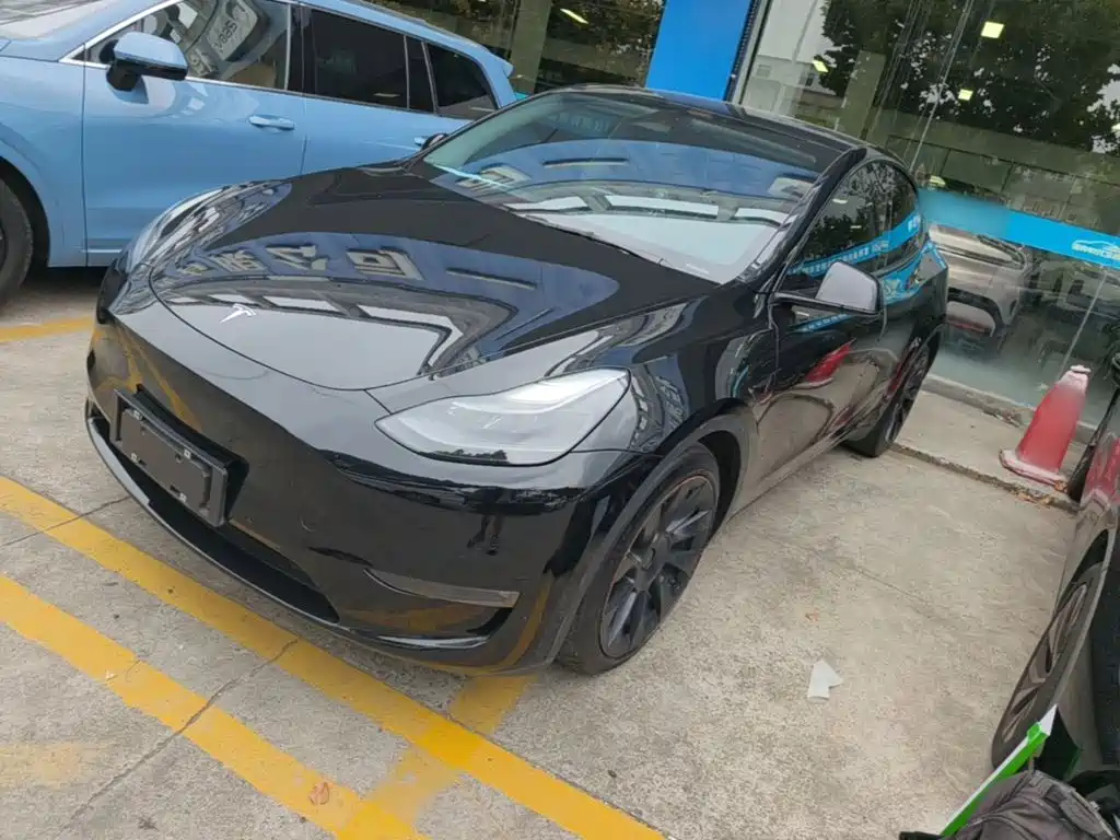 Tesla Model Y — миниатюра 2
