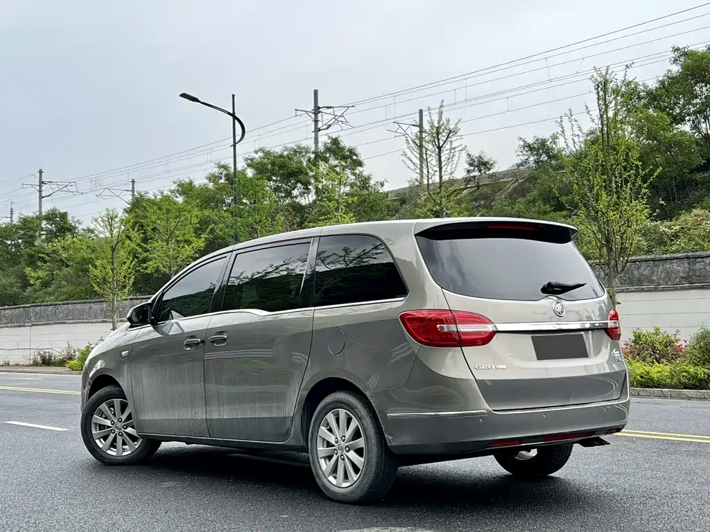 Buick GL8 — миниатюра 10