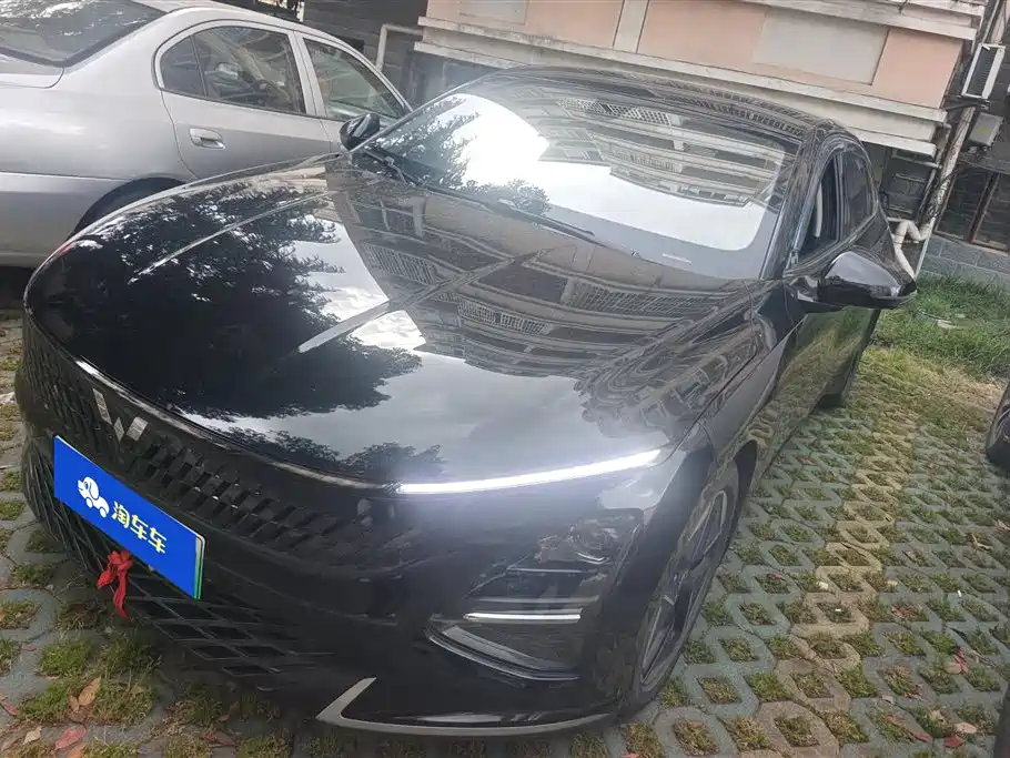 Wuling Xingguang 2024
