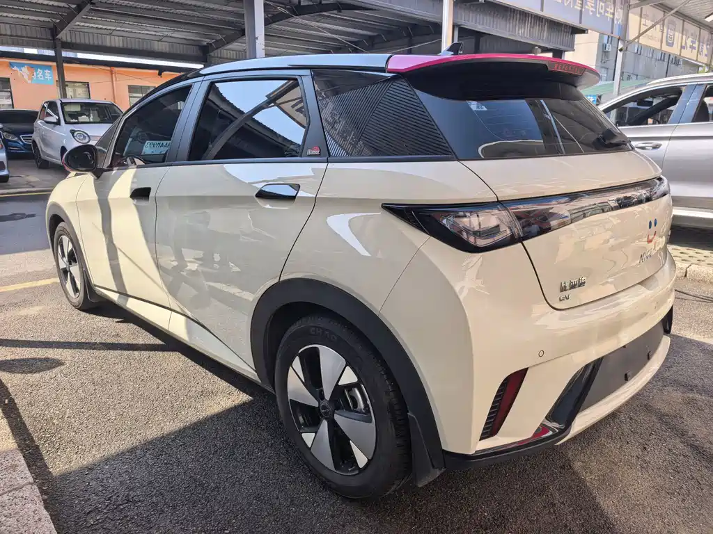 BYD Dolphin — миниатюра 7