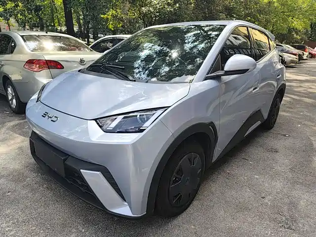 2024 BYD Seagull