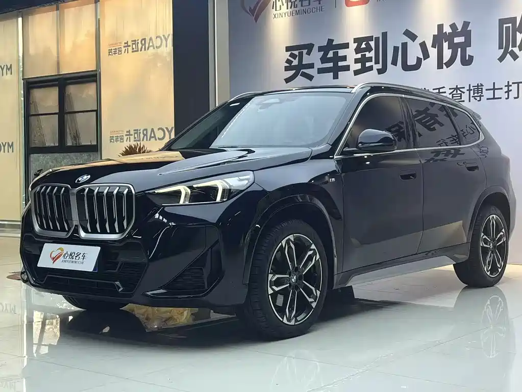 BMW X1 — миниатюра 2