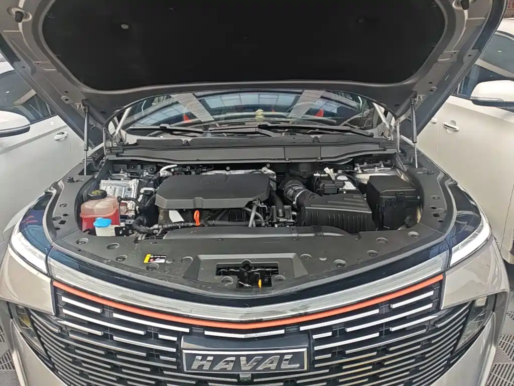 Haval Shenshou — миниатюра 20