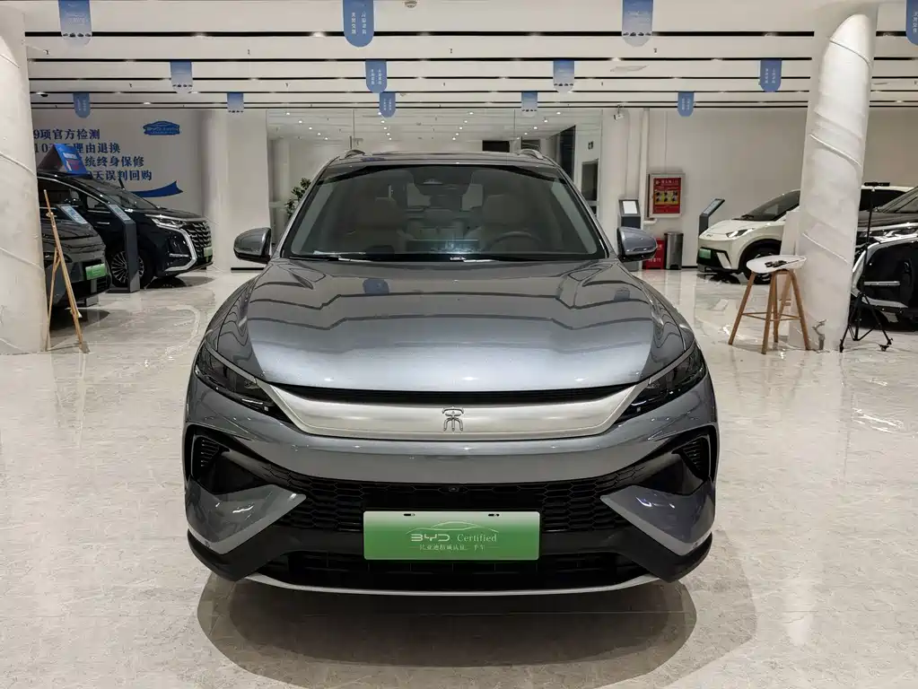 BYD Pro New Energy — миниатюра 2