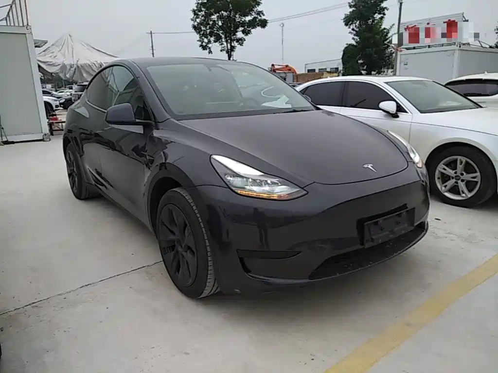Tesla Model Y — миниатюра 4