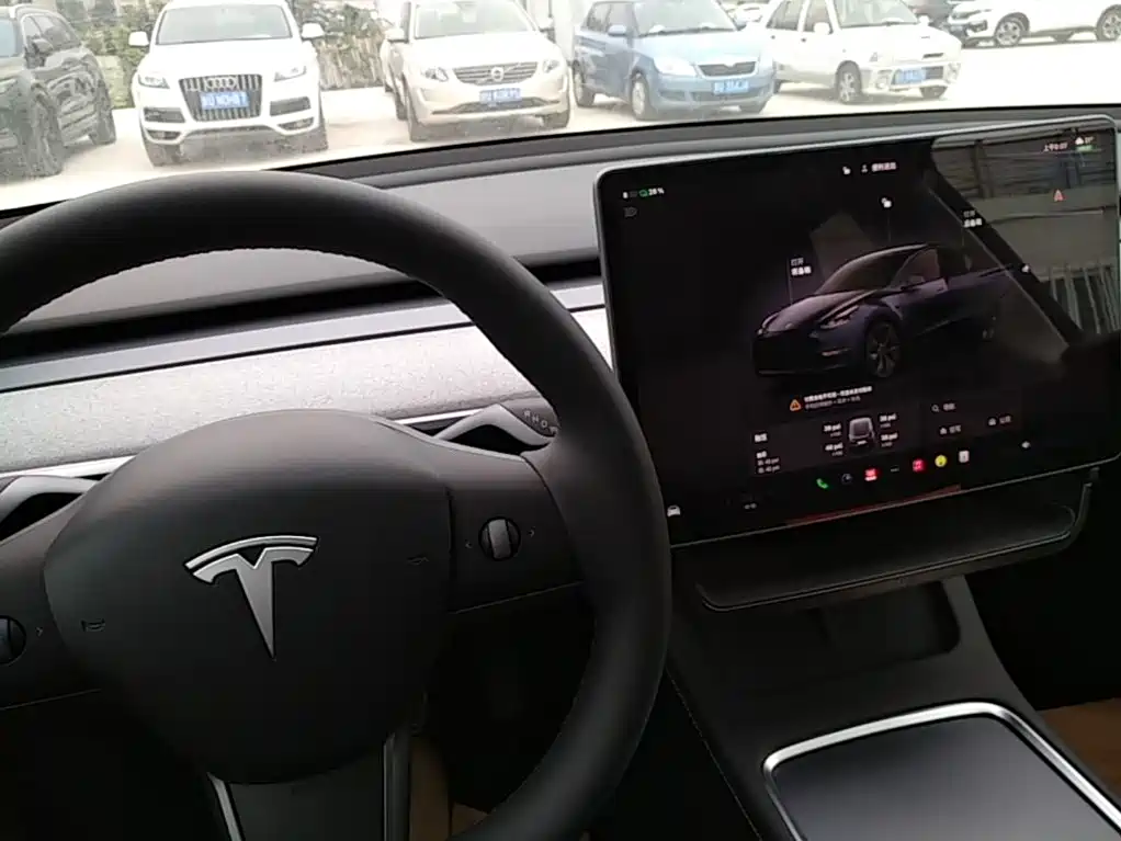 Tesla Model Y — миниатюра 14
