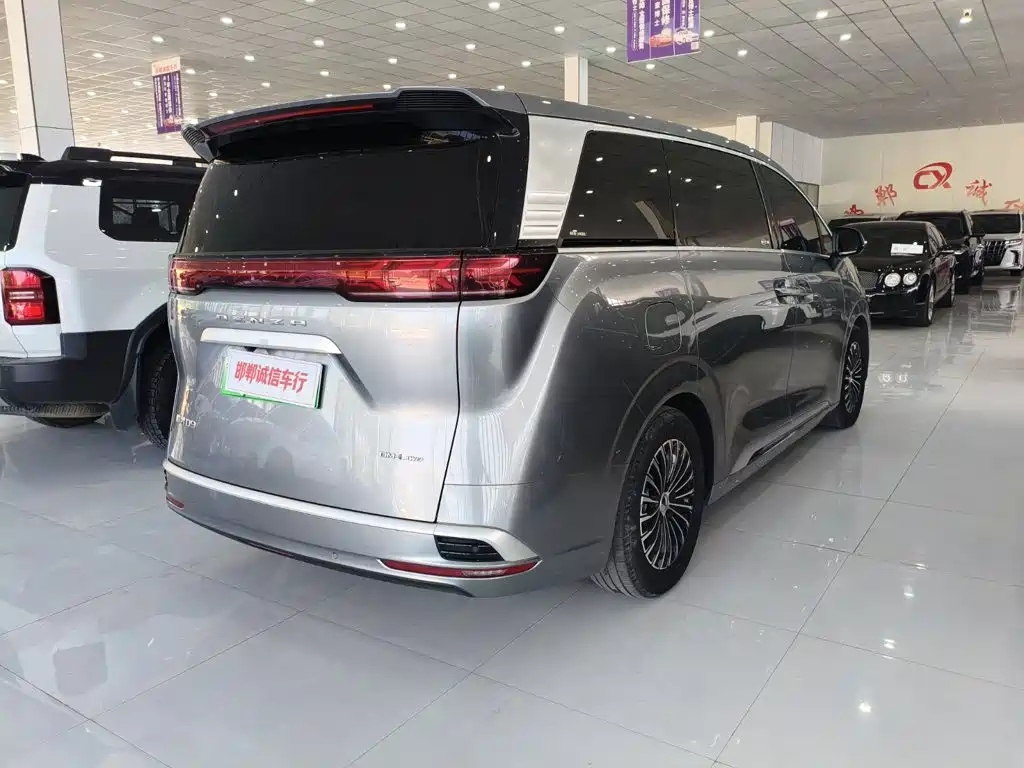 Denza Denza D9 — миниатюра 4