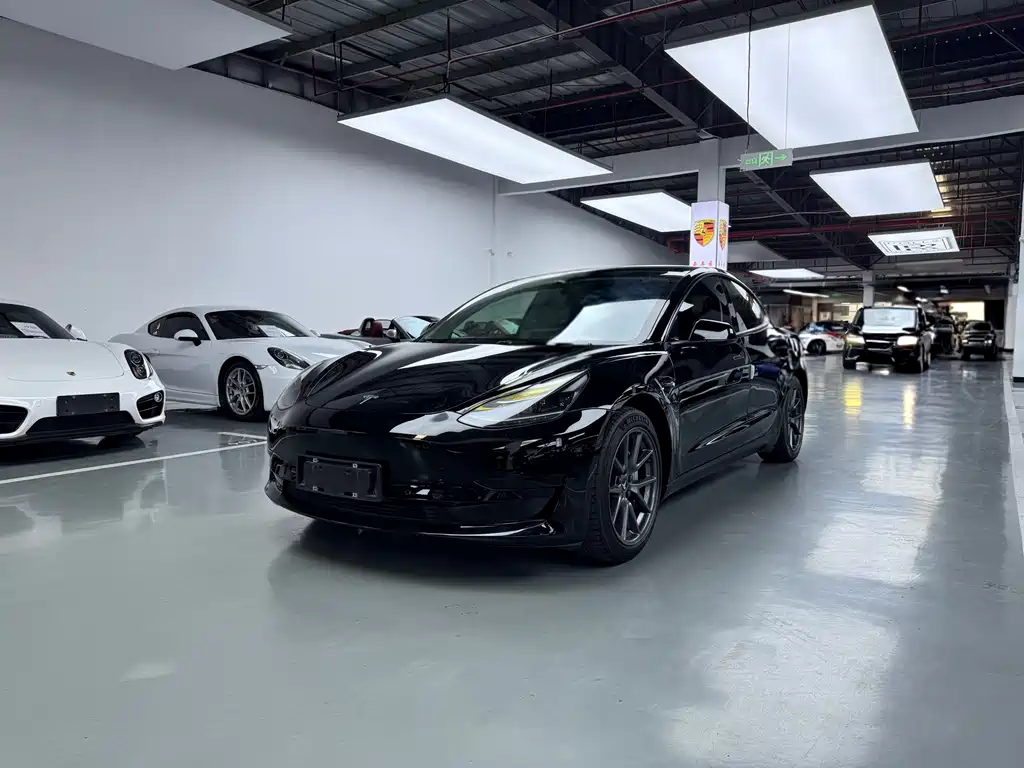 Tesla Model 3 2021