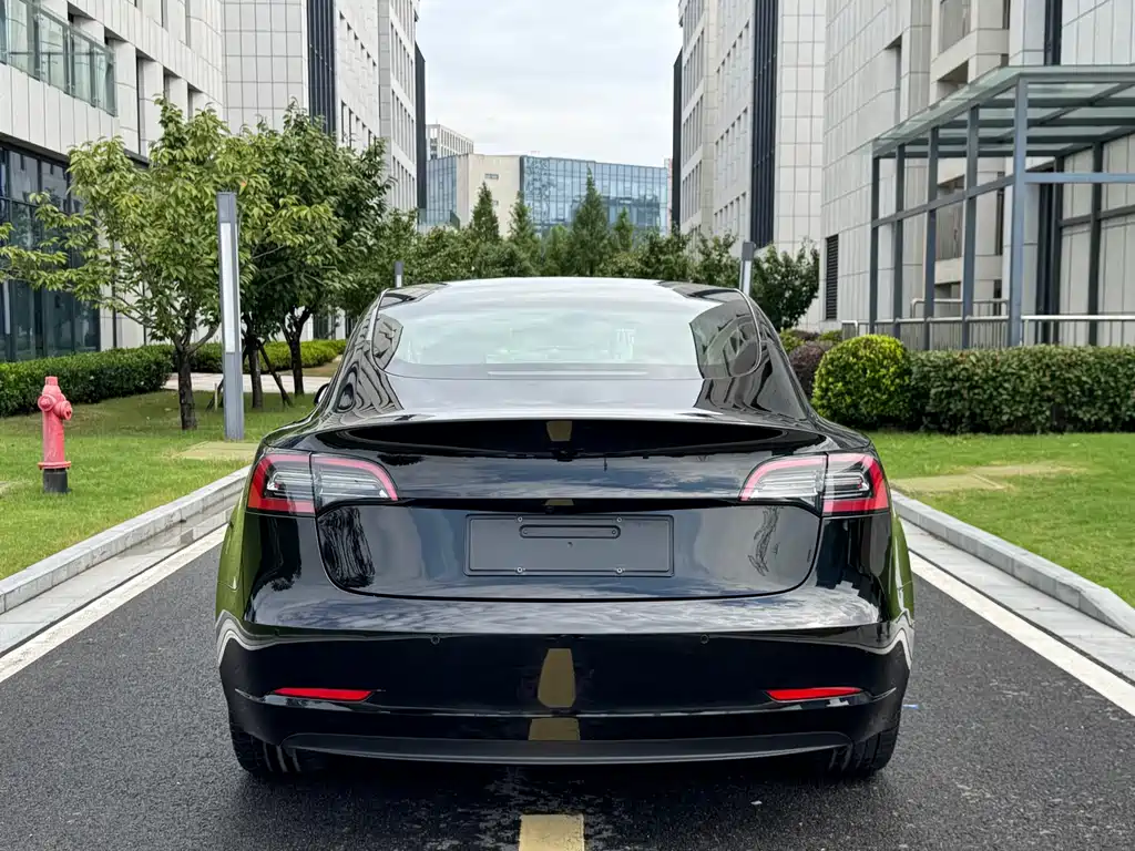 Tesla Model 3 — миниатюра 8