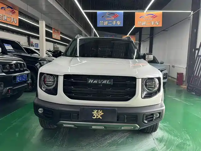 HAVAL BIG DOG