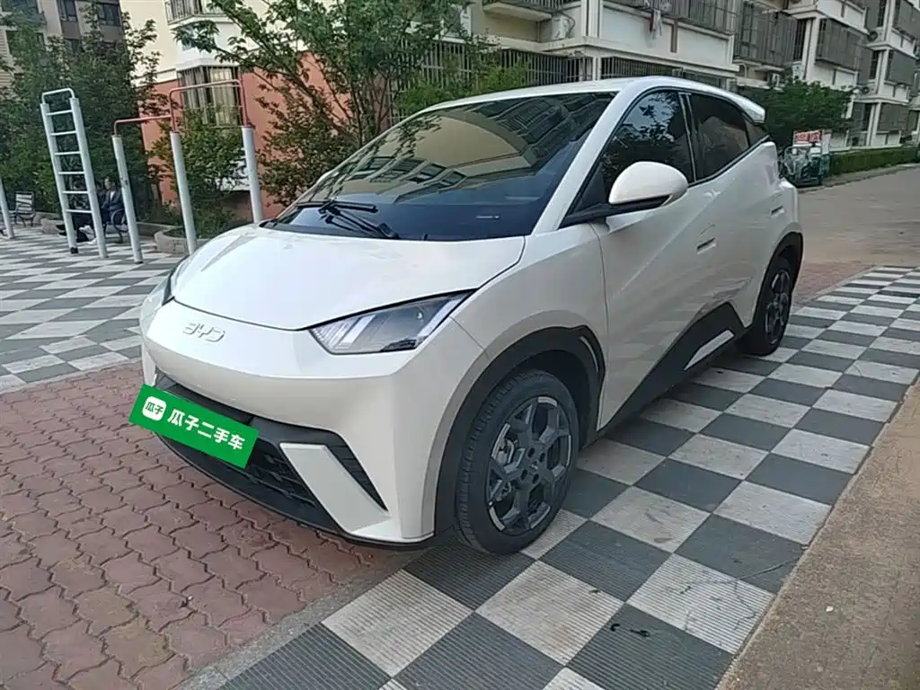 Byd Seagull 2025