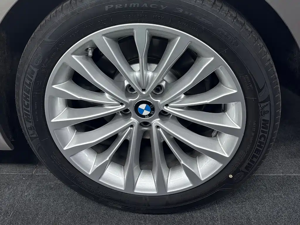 BMW 5 Series 5 2020 530Li xDrive Luxury