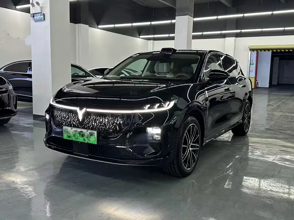 Voyah Zhiyin 2025