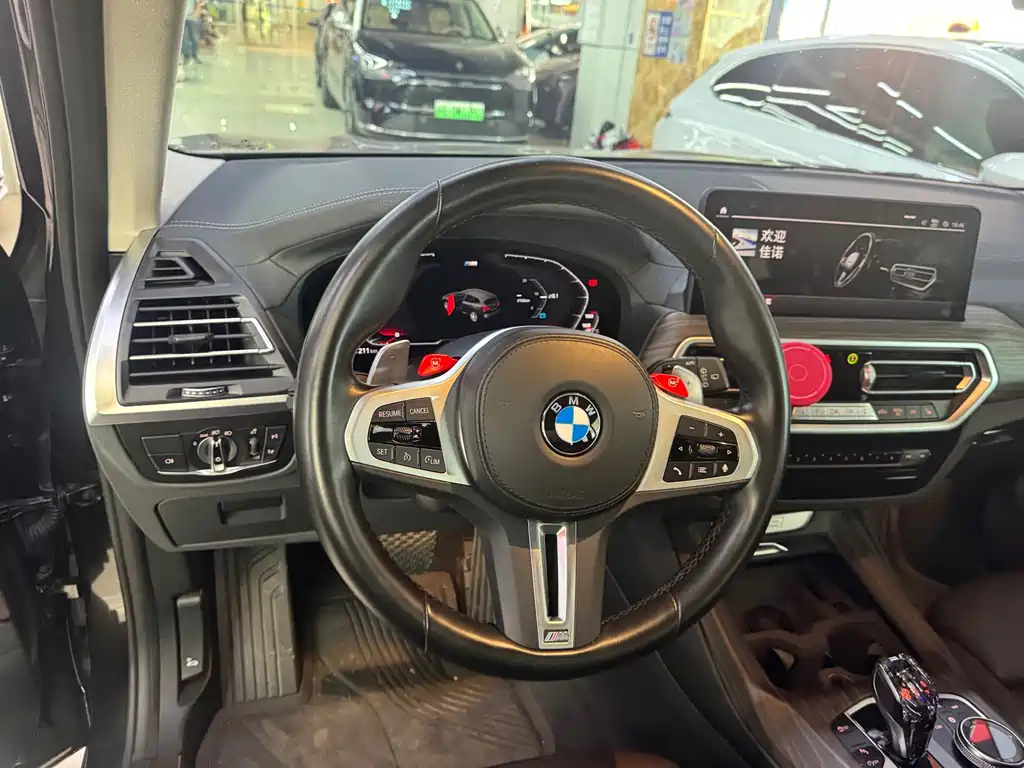 BMW X3 — миниатюра 3