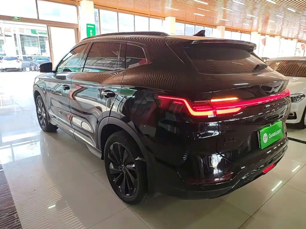 BYD PLUS New Energy — миниатюра 5