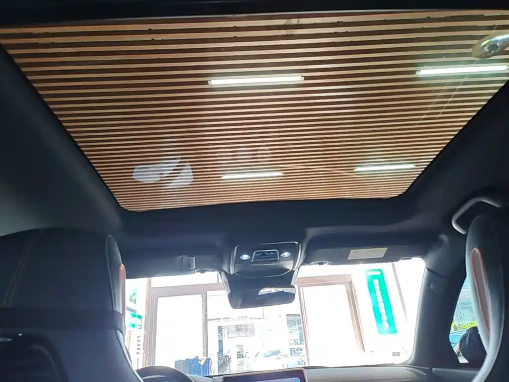 BYD PLUS New Energy — миниатюра 18