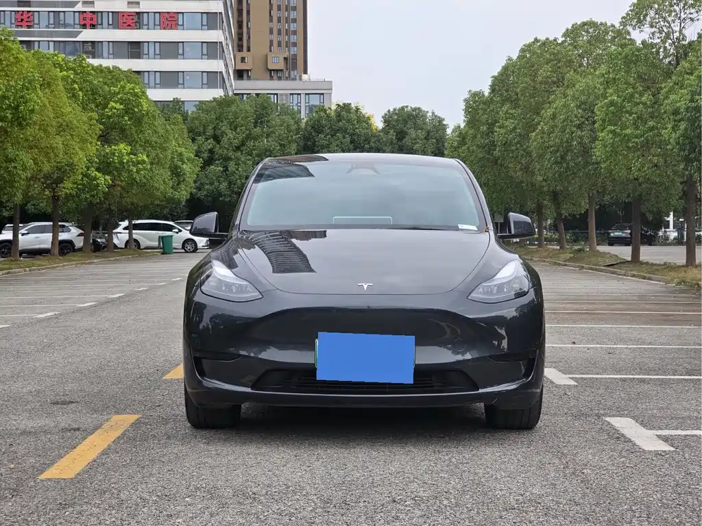 Tesla Model Y — миниатюра 2