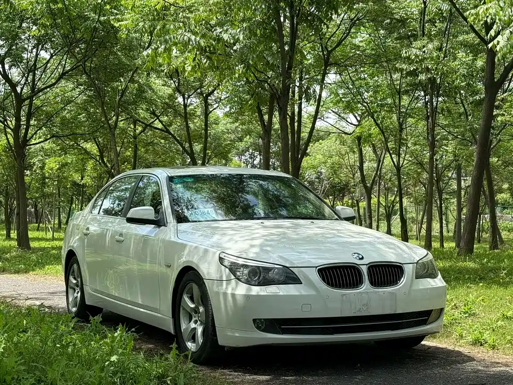 BMW 5 Series 2010