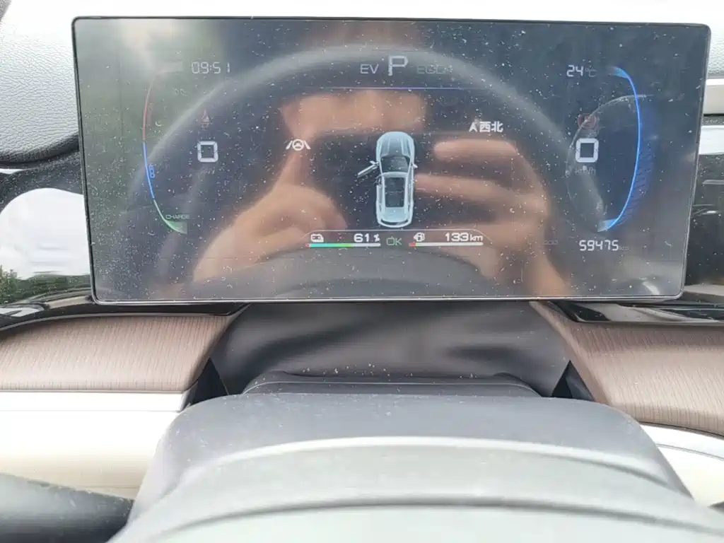 BYD Pro New Energy — миниатюра 12