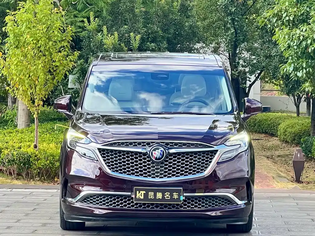 Buick GL8 — миниатюра 2
