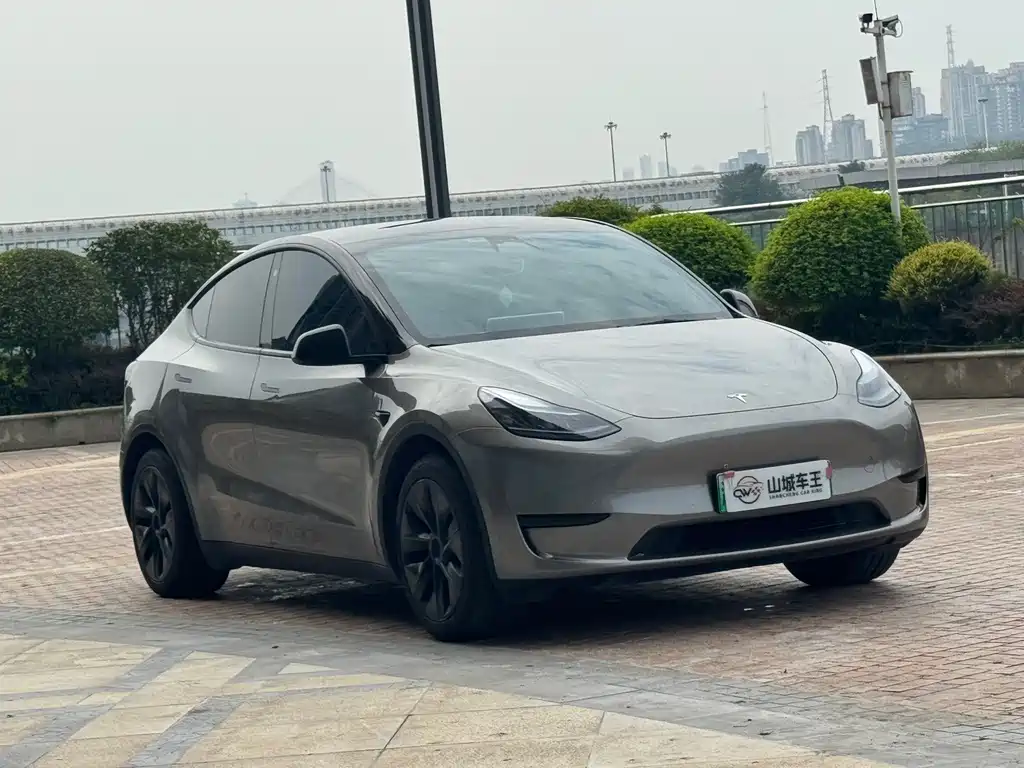 Tesla Model Y — миниатюра 3