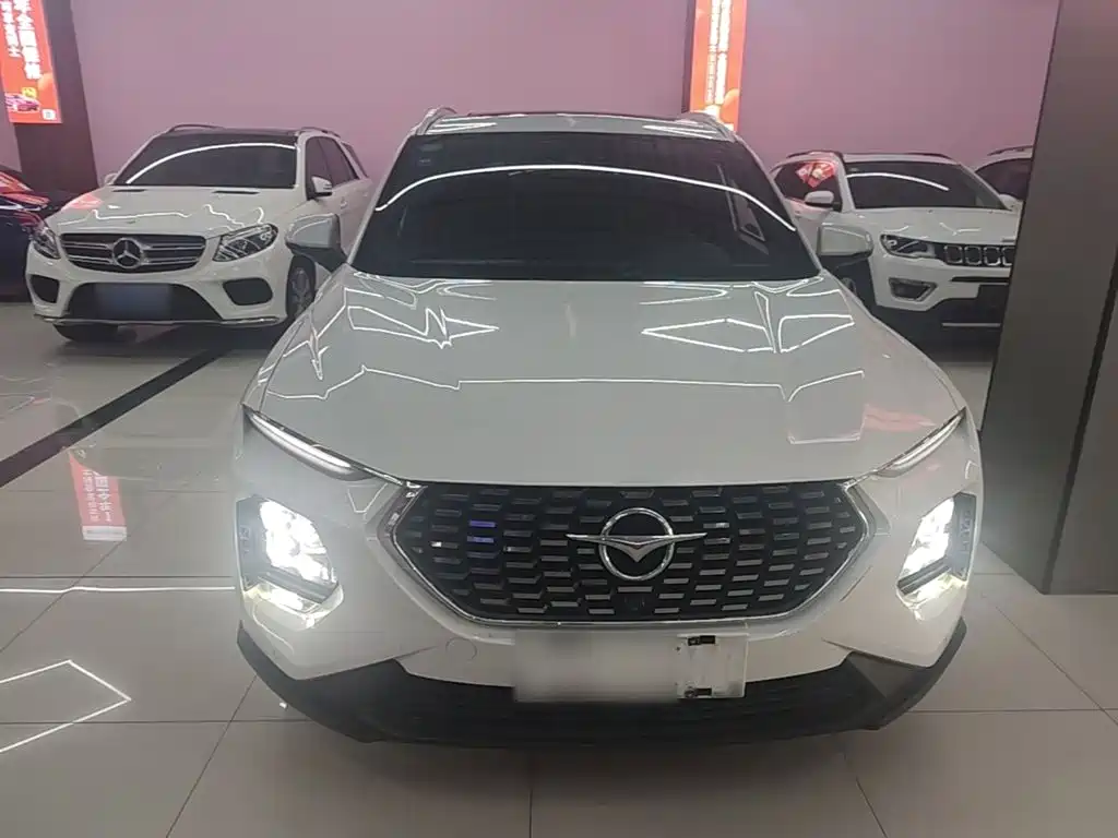 Haima Haima 8S — миниатюра 3