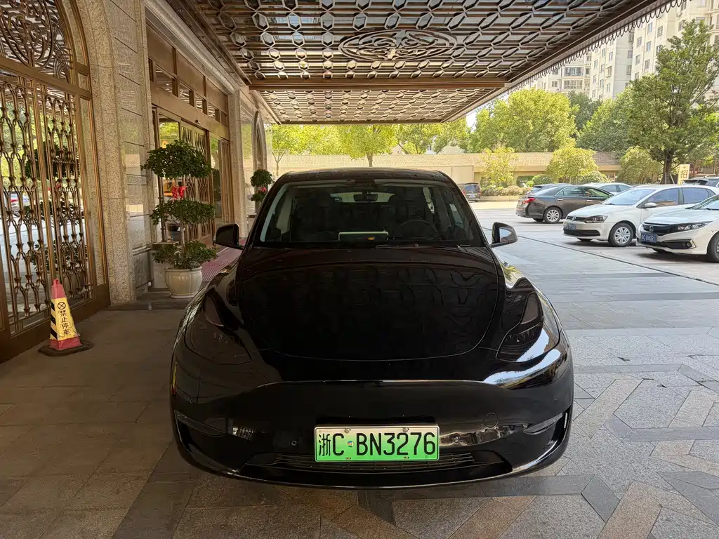 Tesla Model Y — миниатюра 2