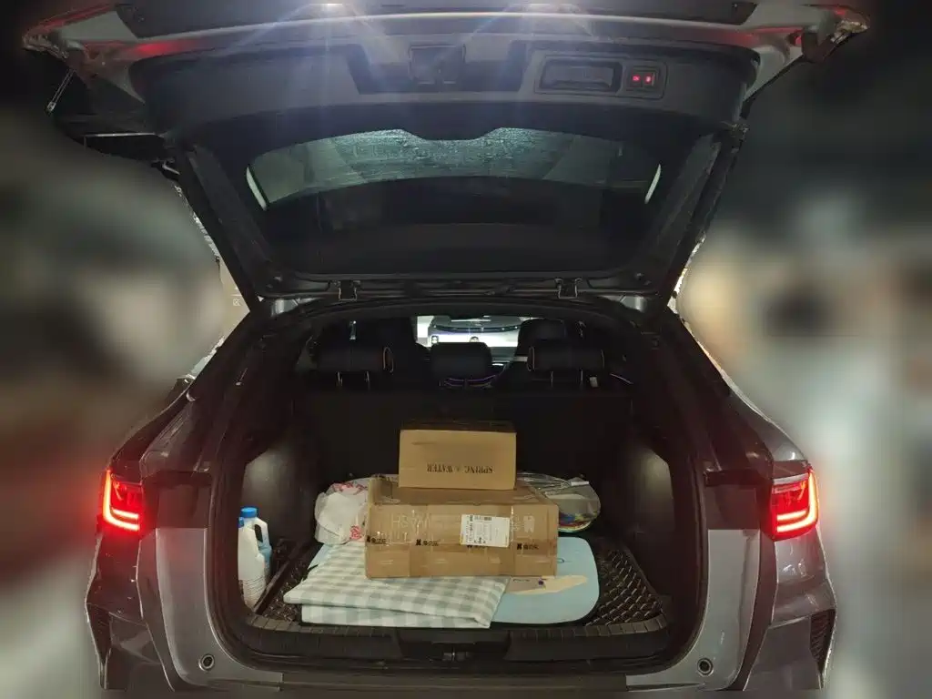 BYD PLUS New Energy — миниатюра 10