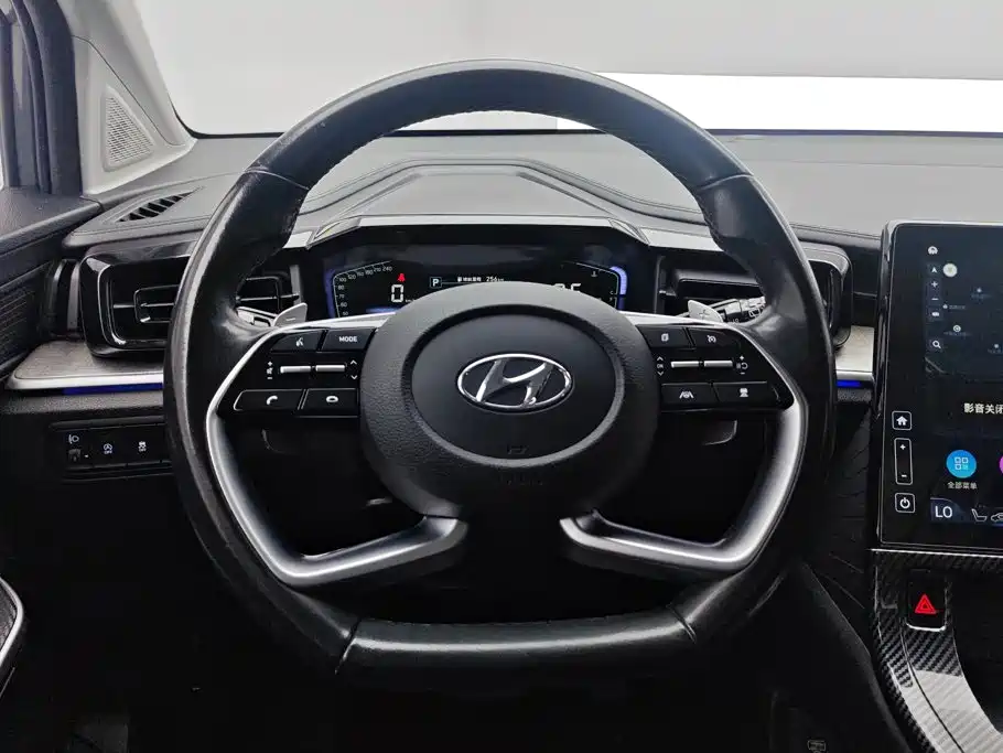Hyundai Custo — миниатюра 15
