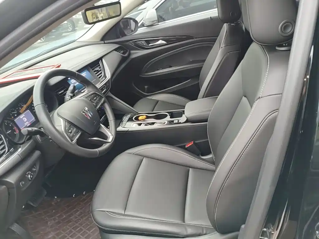 Buick Regal — миниатюра 15