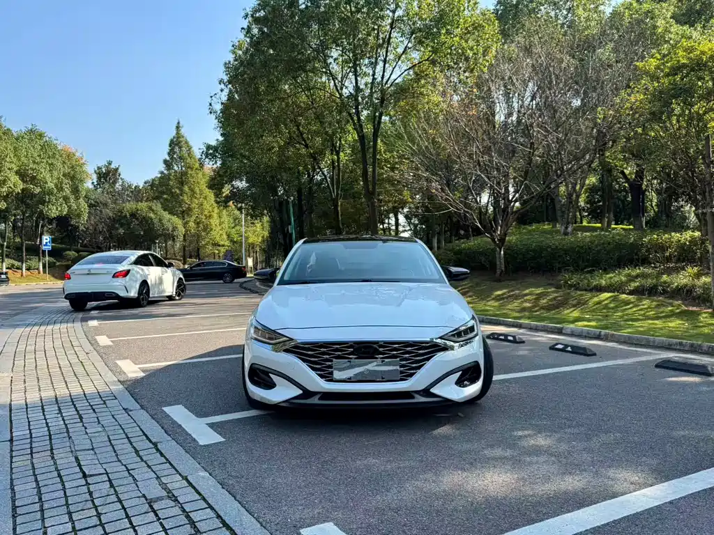 Hyundai Fista — миниатюра 2