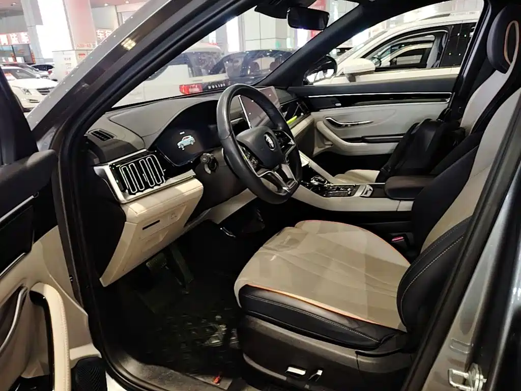 BYD PLUS New Energy — миниатюра 15