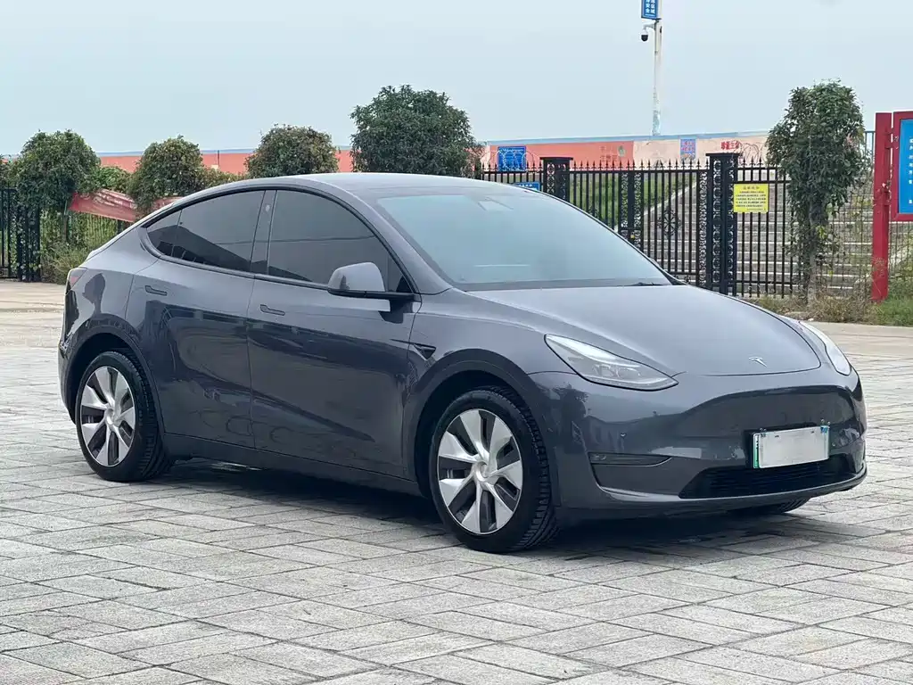 Tesla Model Y — миниатюра 3