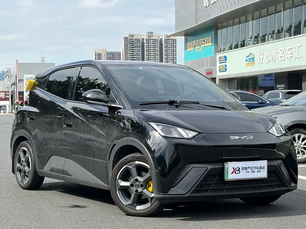 BYD Seagull — миниатюра 6