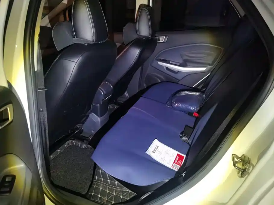 Ford Ecosport — миниатюра 11